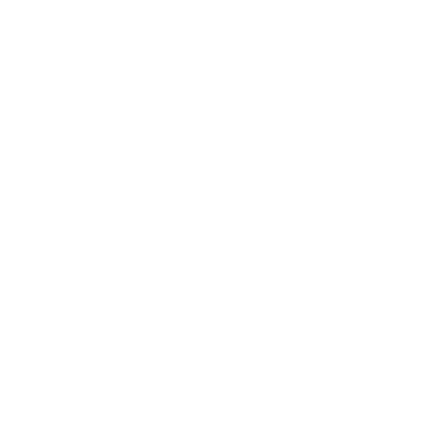 RIM_Logotoype_white_transparent_background_art_director